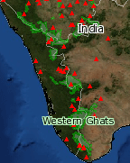 Satellite spotted fires